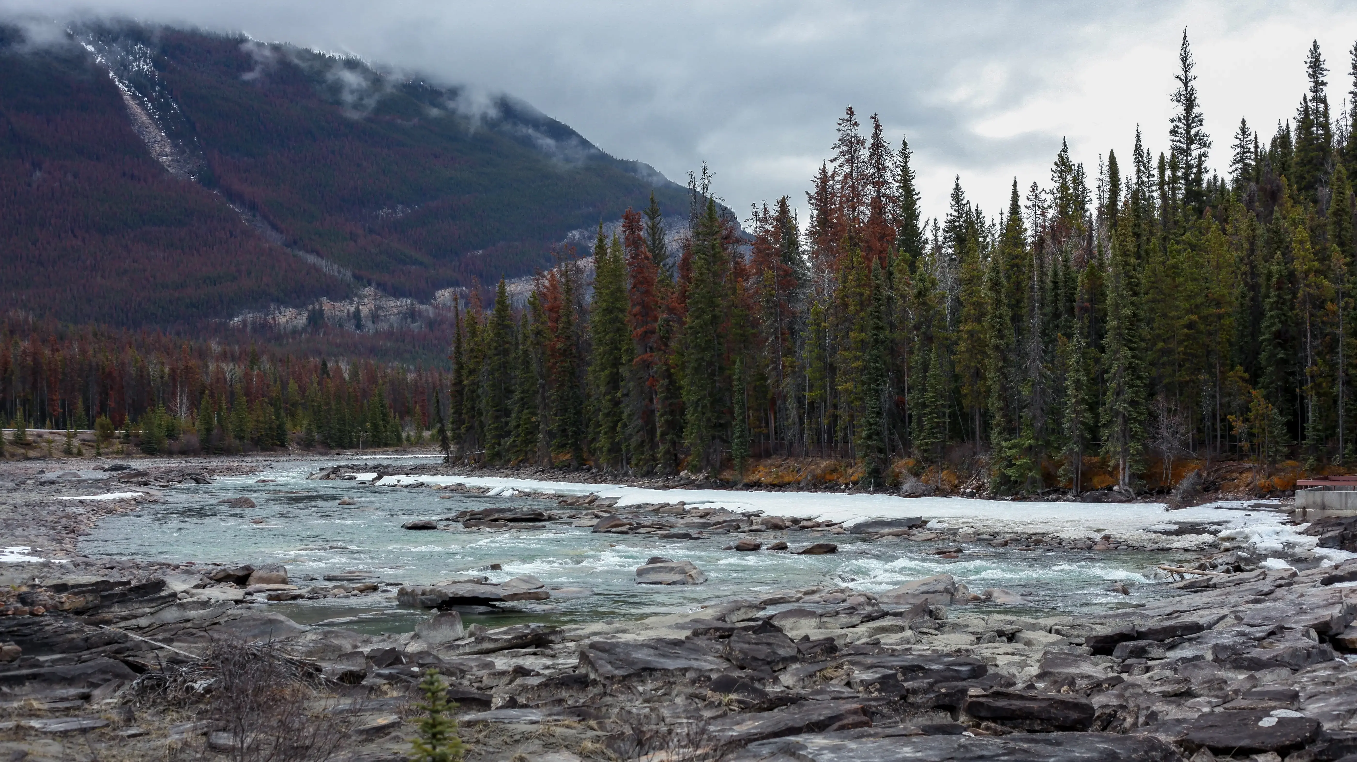 a waterfall in Alberta